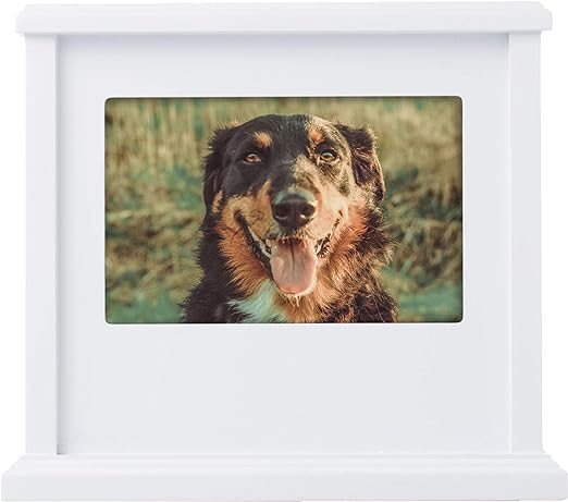 Pearhead Pet Personalized Memory Box Keepsake