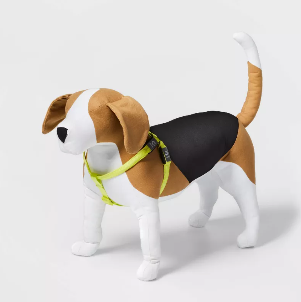 Boots & Barley LED Rechargeable Dog Harness - Large