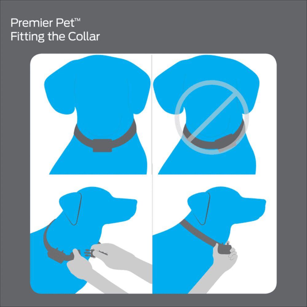 Premier Pet 400 Yard Remote Trainer