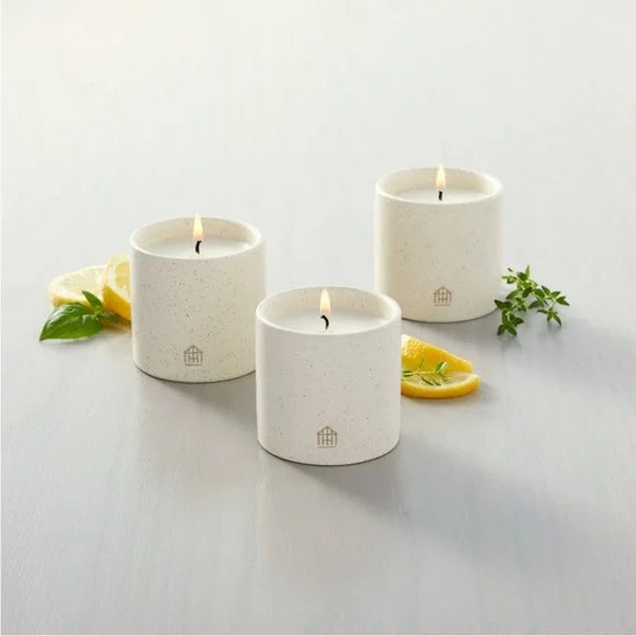 Hearth & Hand with Magnolia 9oz Basil/Lemon/Thyme Speckled Ceramic Kitchen Candle Set